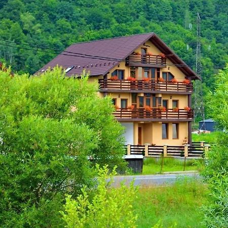 ホテル Casa Vadeanu シゲトゥ・マルマツィエイ エクステリア 写真