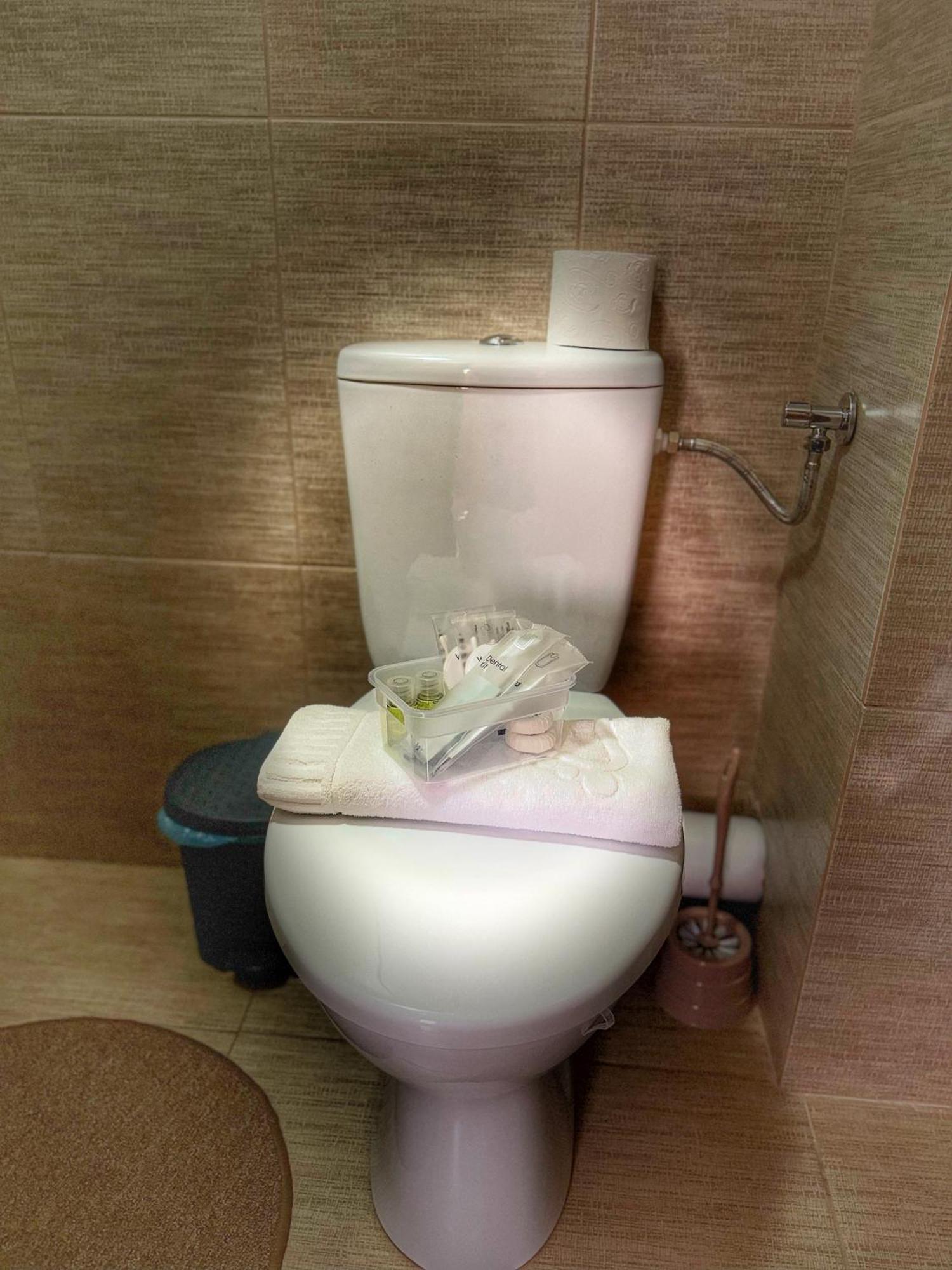 ホテル Casa Vadeanu シゲトゥ・マルマツィエイ エクステリア 写真